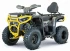 Квадроцикл YACOTA DRUID 250 PRO