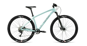 Велосипед горный Format (Формат) 1212 29 (2021) Велосипед горный Format (Формат) 1212 29 (2021)