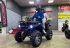 Квадроцикл PROMAX RENEGADE 250 LONG WINCH PRO Квадроцикл PROMAX RENEGADE 250 LONG WINCH PRO