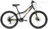 Велосипед подростковый Forward (Форвард) Iris 24 2.0 D (2022)